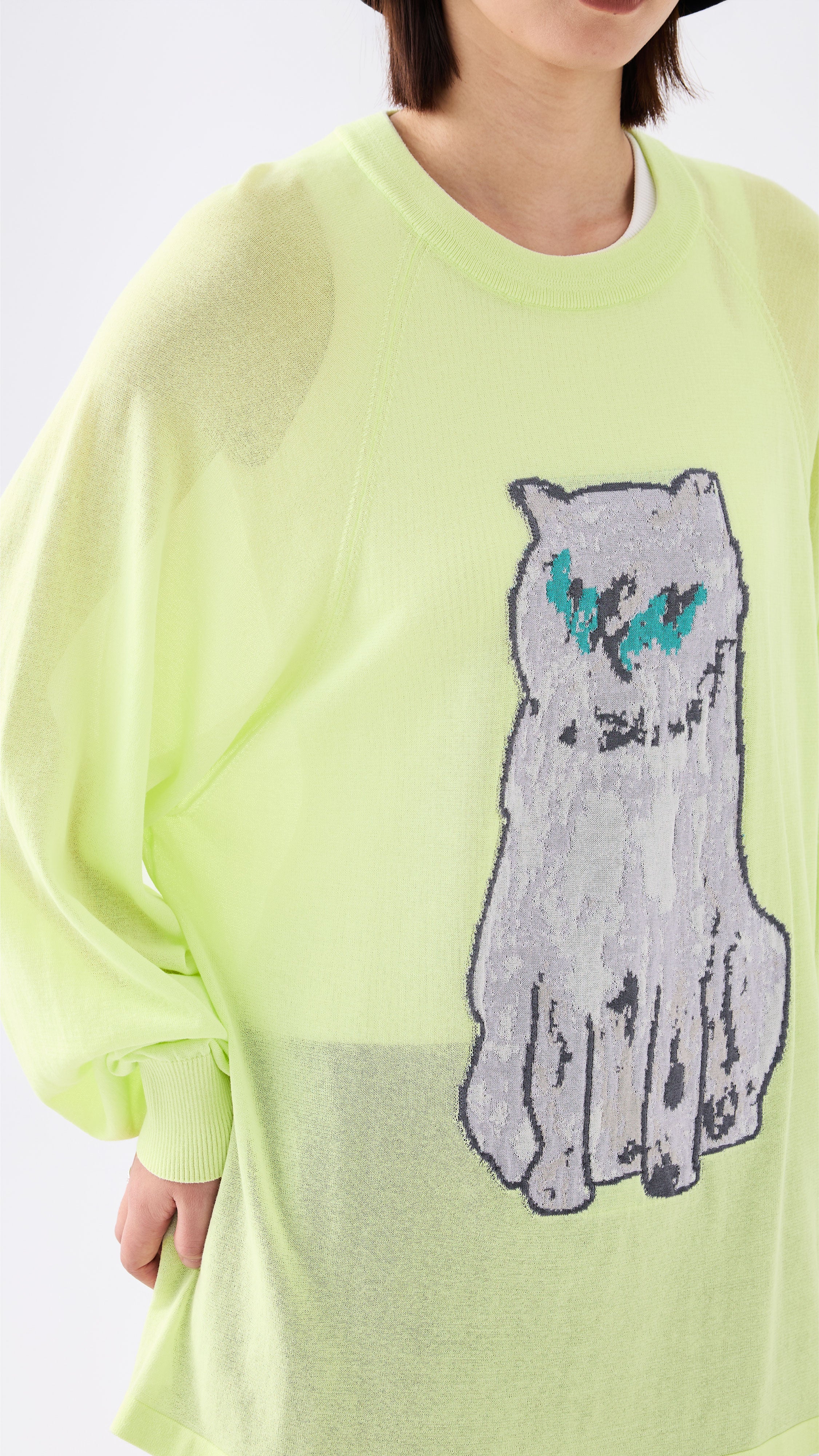 Mythical Animal Graphic Sweater